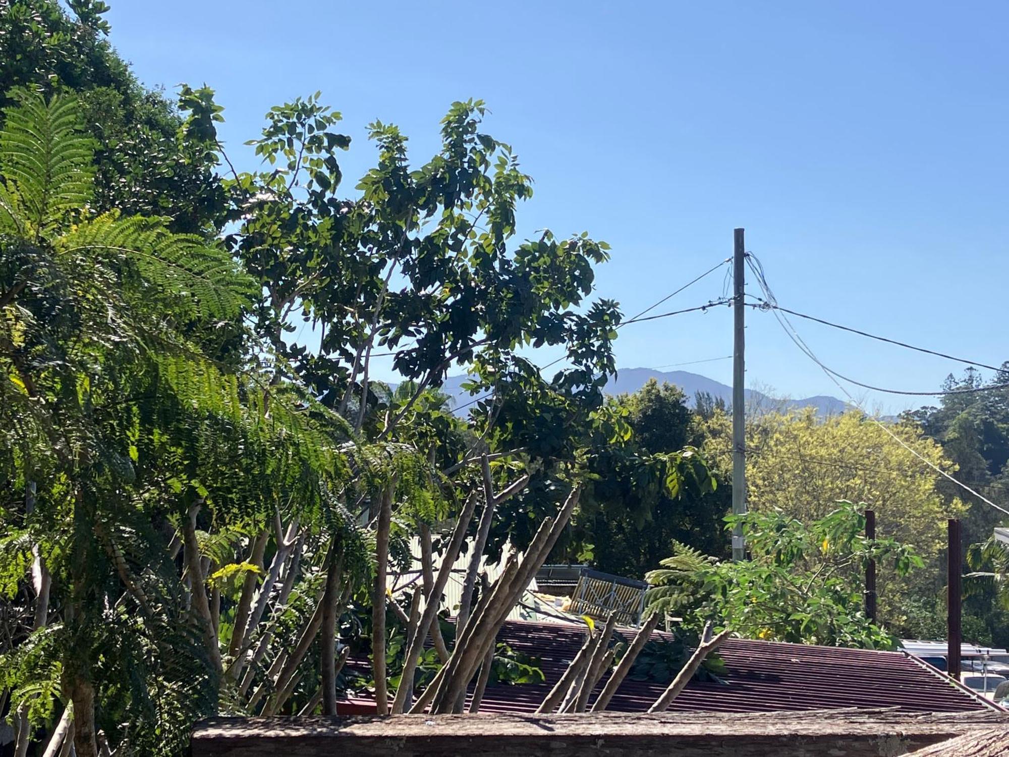 Potters Warehouse Apartamento Bellingen Exterior foto